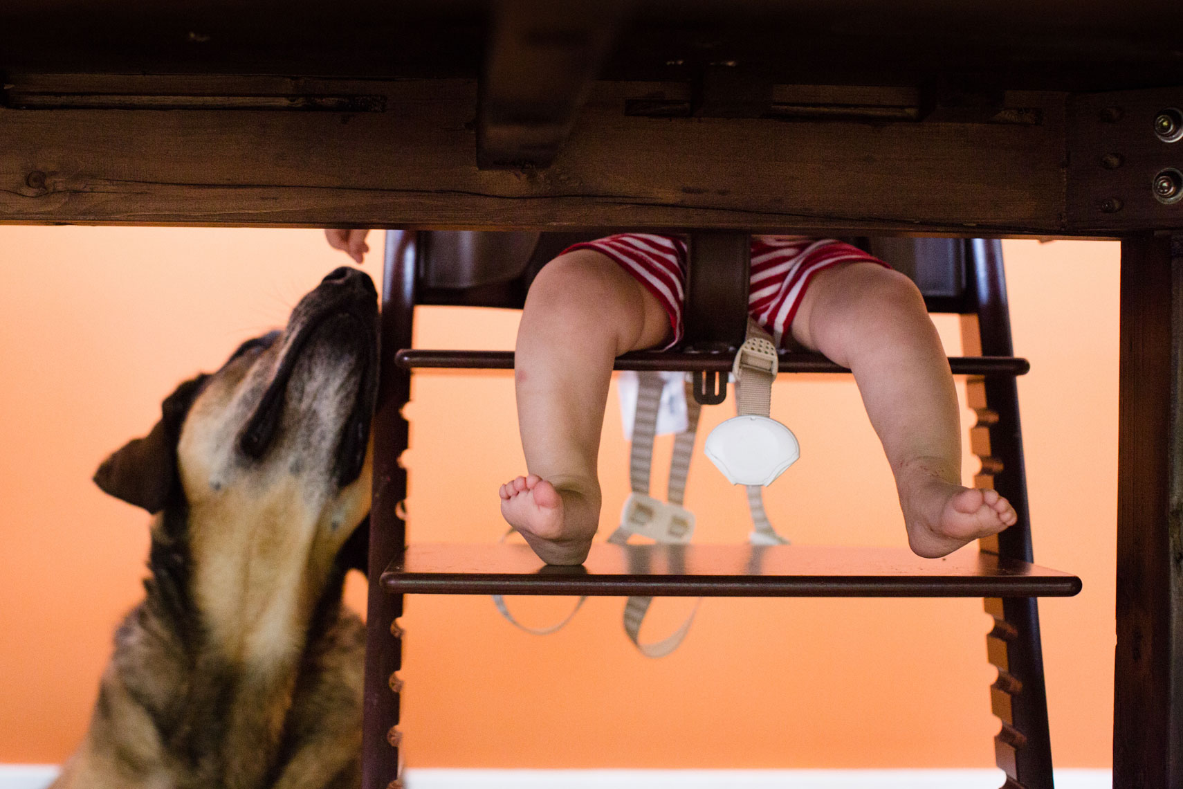 Anna Kuperberg Photography